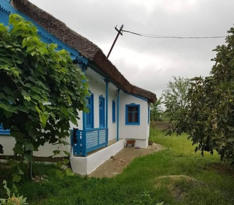 Property building, Spring, Garden view