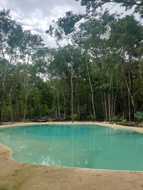 Natural landscape, Pool view, Swimming pool
