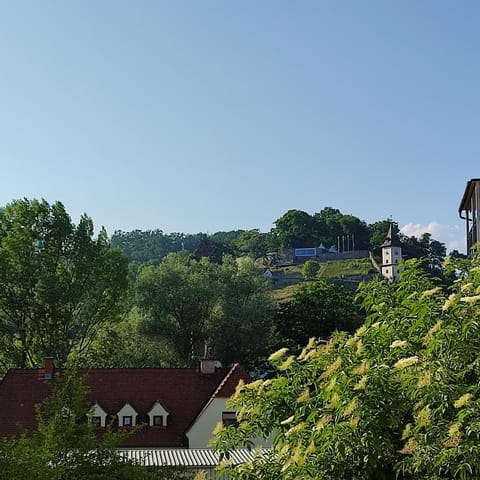 Natural landscape, View (from property/room)