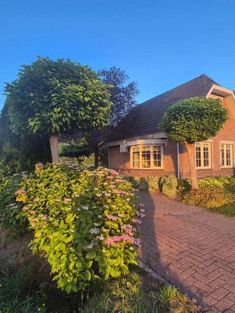 Property building, Garden view