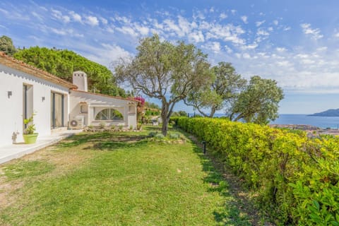 Property building, Garden, Garden view