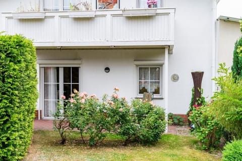 Property building, Garden, Garden view