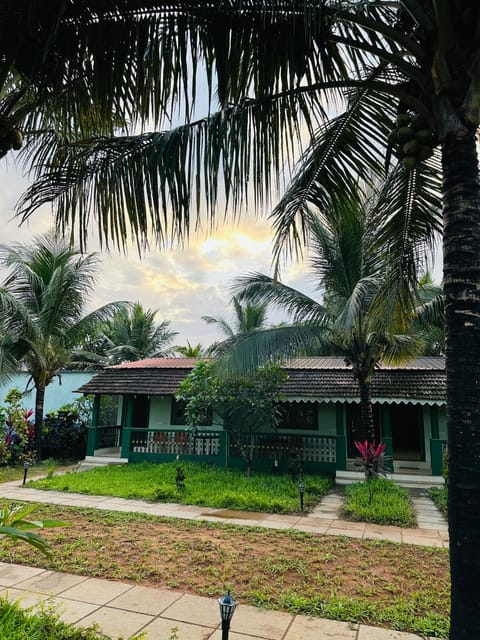 Garden view