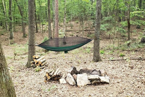 Dreamy Treehouse Cabin Oasis Near Piney River, Tennessee Cabin in Watts Bar Lake