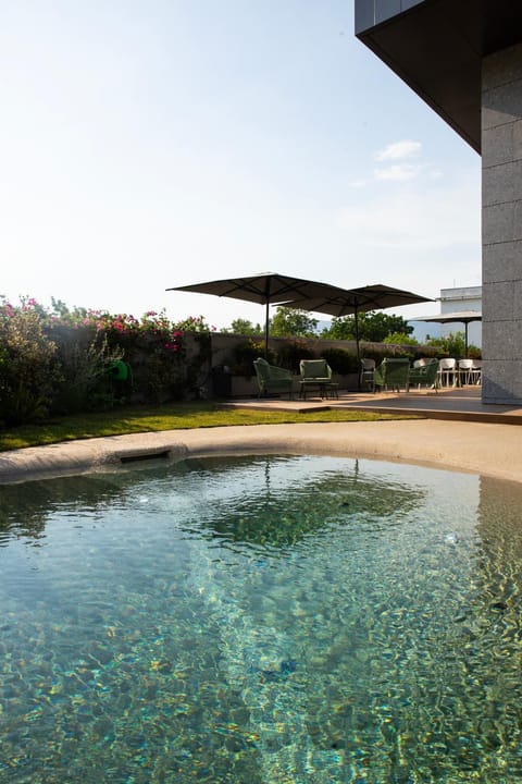 Garden, Solarium, Garden view, Pool view, Swimming pool, Swimming pool
