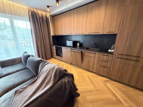 Two bedroom LUXURIOUS Spacios Apartment Apartment in Vilnius