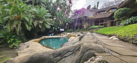 Property building, Spring, Day, Natural landscape, Garden, Garden view, Pool view, Swimming pool