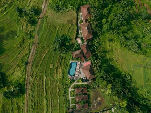 Cassowary Villa Sidemen Nature lodge in Sidemen