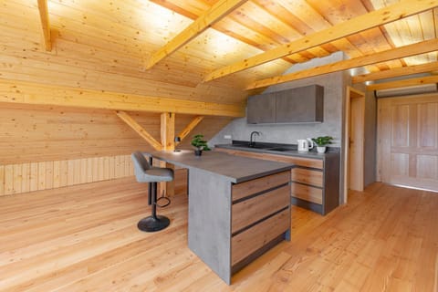 Kitchen or kitchenette, Dining area, stove