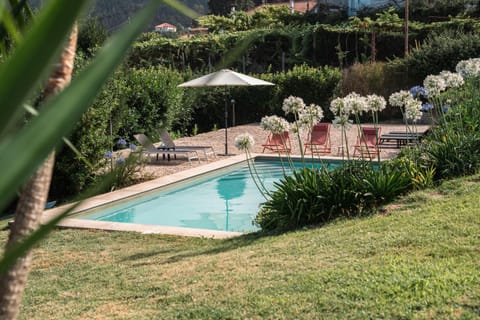 Garden, Garden view, Pool view, Swimming pool, sunbed