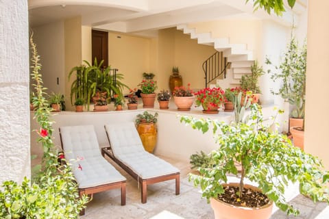 Property building, Garden view