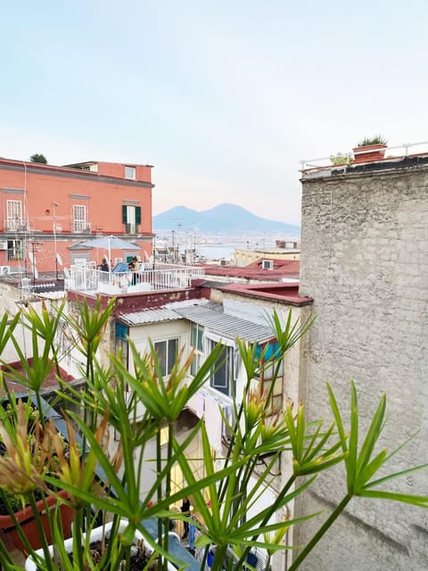 Day, Balcony/Terrace