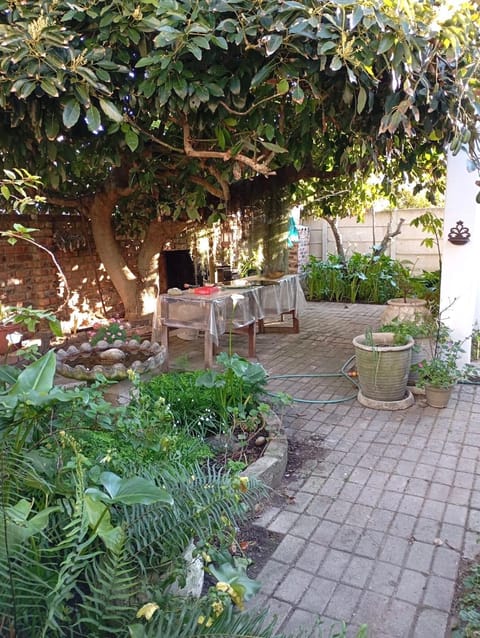 Garden, Garden view, Inner courtyard view