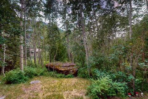 Booth Falls Bungalow Apartment in Vail