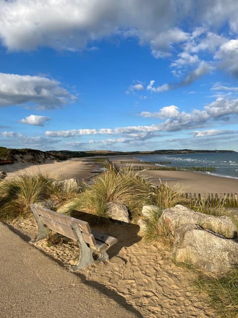 Natural landscape