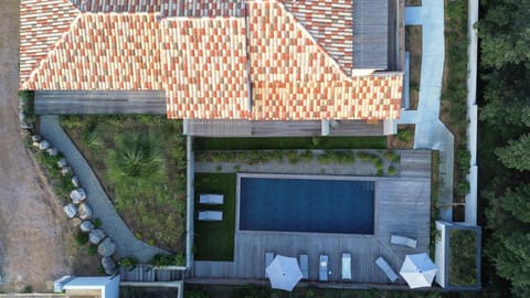 Garden, Swimming pool, Swimming pool