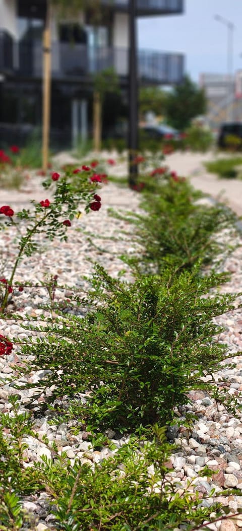 Apartament Pruszcz Park 10 Apartment in Pomeranian Voivodeship