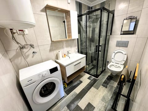 Toilet, Bathroom, washing machine