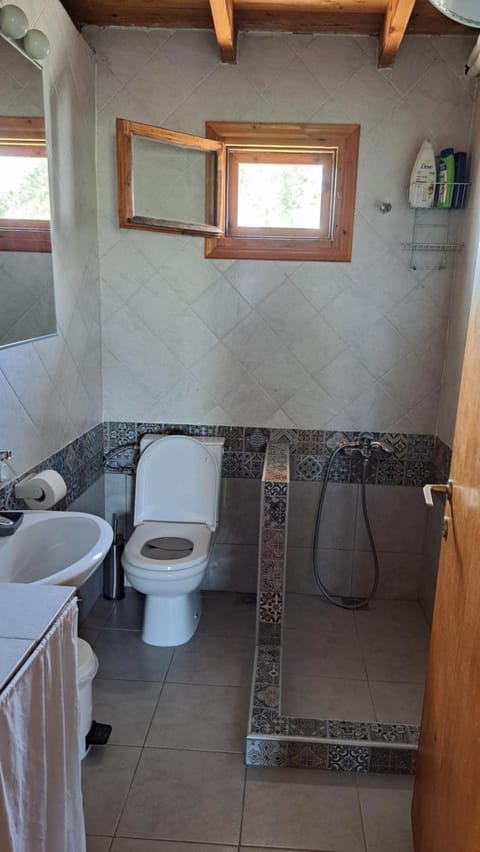 Villa Tina House in Halkidiki