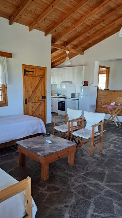 Villa Tina House in Halkidiki