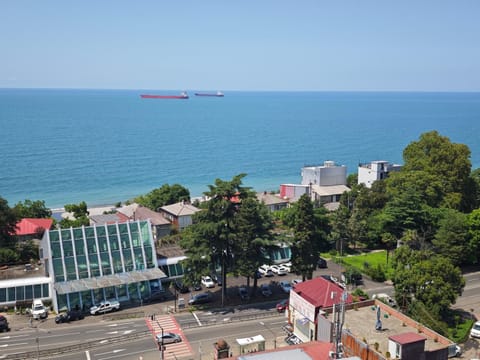 Natural landscape, Beach, Sea view, Location