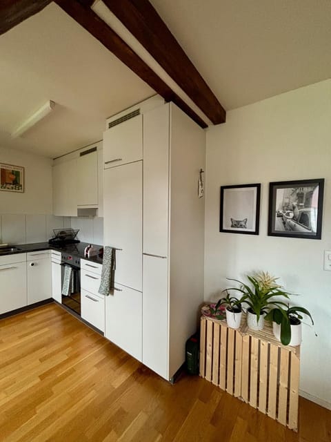 Cosy room in attic flat in the center of Zurich Vacation rental in Zurich City