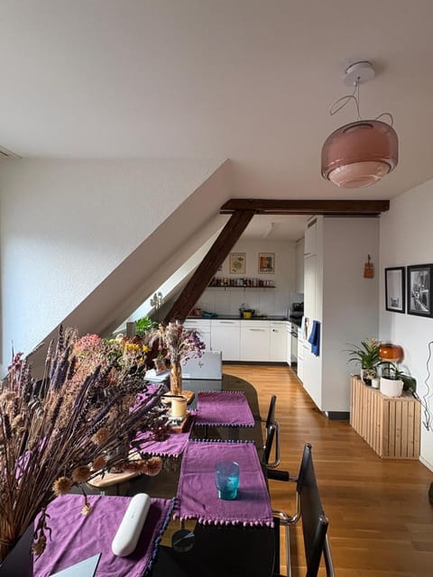 Cosy room in attic flat in the center of Zurich Vacation rental in Zurich City