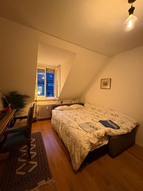 Cosy room in attic flat in the center of Zurich Vacation rental in Zurich City