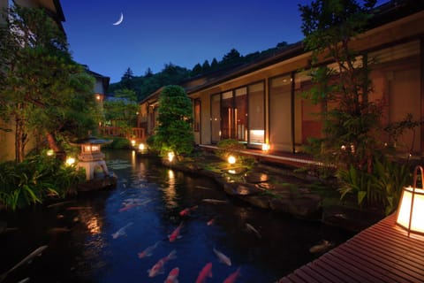 Night, Garden
