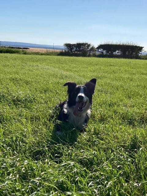 Bowlers Hill Campsite Campground/
RV Resort in England