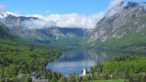 Natural landscape