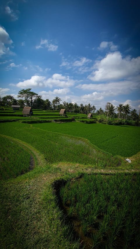 Day, Natural landscape