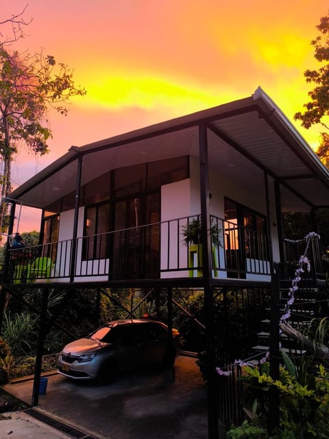 Day, Sunset