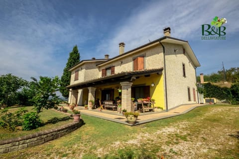 Property building, Garden view