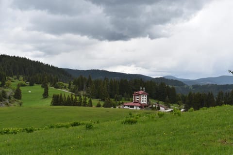 Spring, Natural landscape, Mountain view