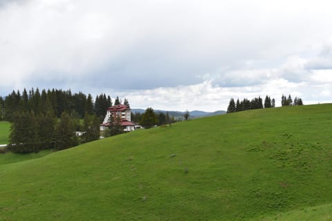 Natural landscape, Mountain view