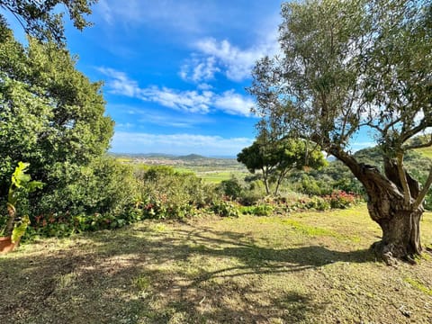 Natural landscape, Garden, Garden view
