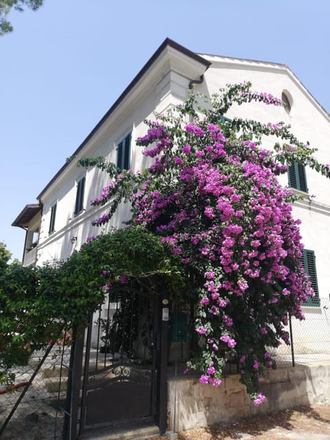 La Bouganville Bed and Breakfast in Macerata