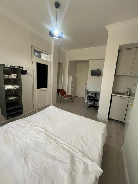 Bed, TV and multimedia, Kitchen or kitchenette, Photo of the whole room, Bedroom, pet friendly