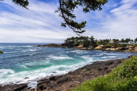 Captain's Quarters - Coral Reef Cabin Cabin in Depoe Bay