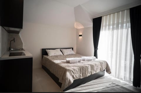 Newborn Studio Apartments Apartment in Serbia