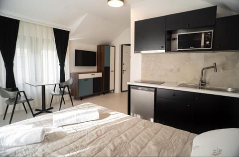 Newborn Studio Apartments Apartment in Serbia