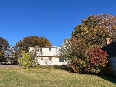 Property building, Day, Garden, Garden view