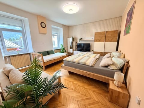 Bed, TV and multimedia, View (from property/room), Seating area