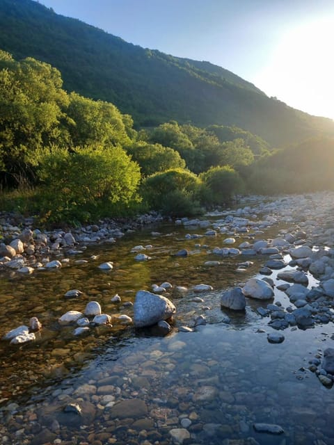 River view
