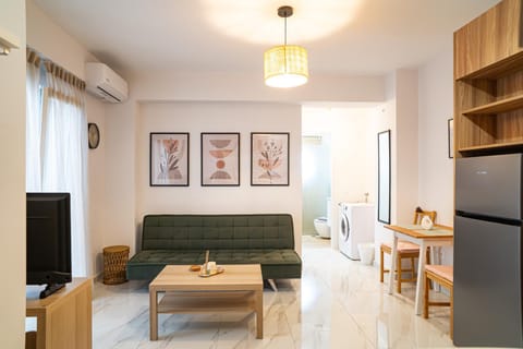 TV and multimedia, Kitchen or kitchenette, Living room, Photo of the whole room, Decorative detail, Seating area, Dining area, air conditioner