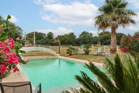Property building, Living room, Swimming pool