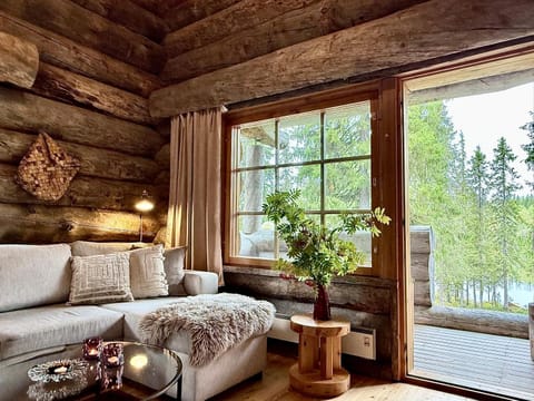 Living room, Lake view, fireplace