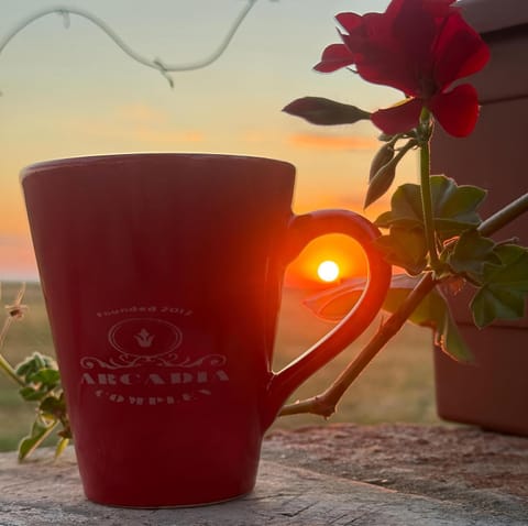 Sunrise