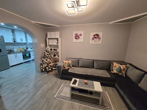 OneDay Apartment Apartment in Vojvodina